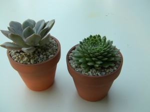 Favors-1