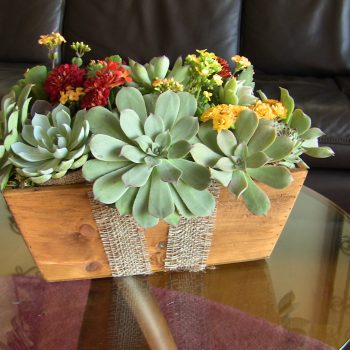 succulent-centerpiece-wooden-box-05