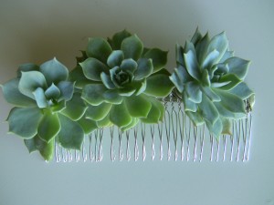 IMG_5775