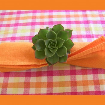 napkin-ring