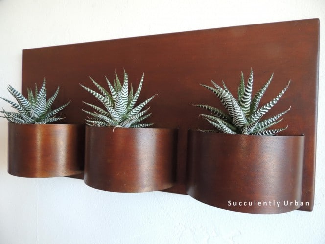 Horizontal Planter copy
