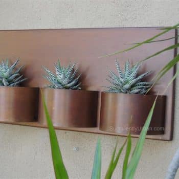 wallPlanter-barrel-13 (Medium)