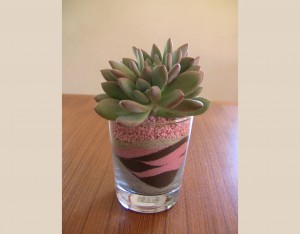 Favor-glass-2
