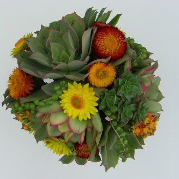 Succulent-bouquet-021