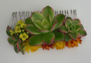 Succulent hair comb