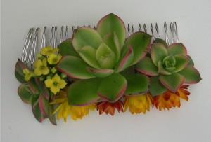 succulent and flowres hair comb