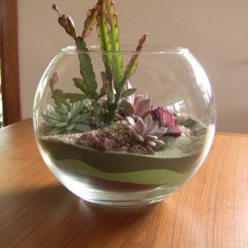 succulent-terrarium-1