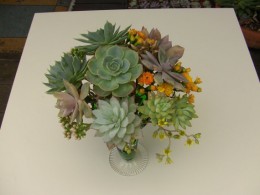 DIY Bouquet-2