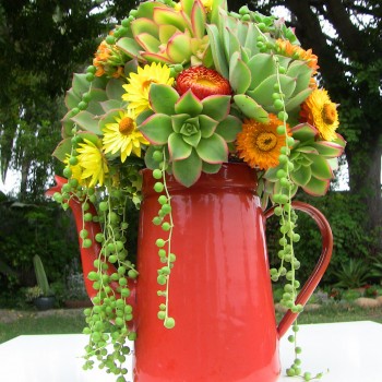 Succulent-bouquet-k