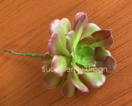 wired-succulents_b