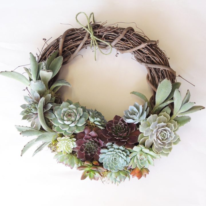 Christmas Succulent Wreath | Urban Succulents