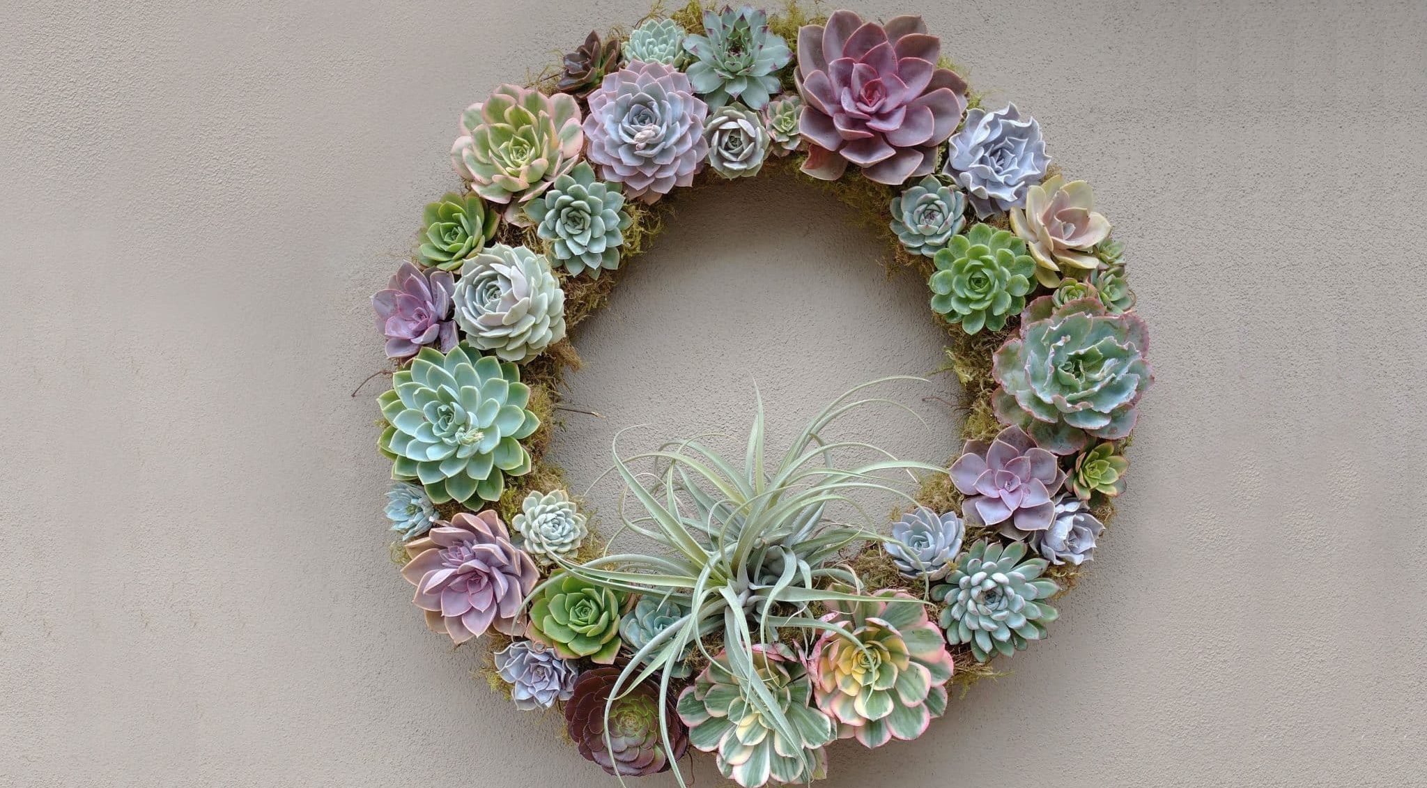 Succulent Wreath